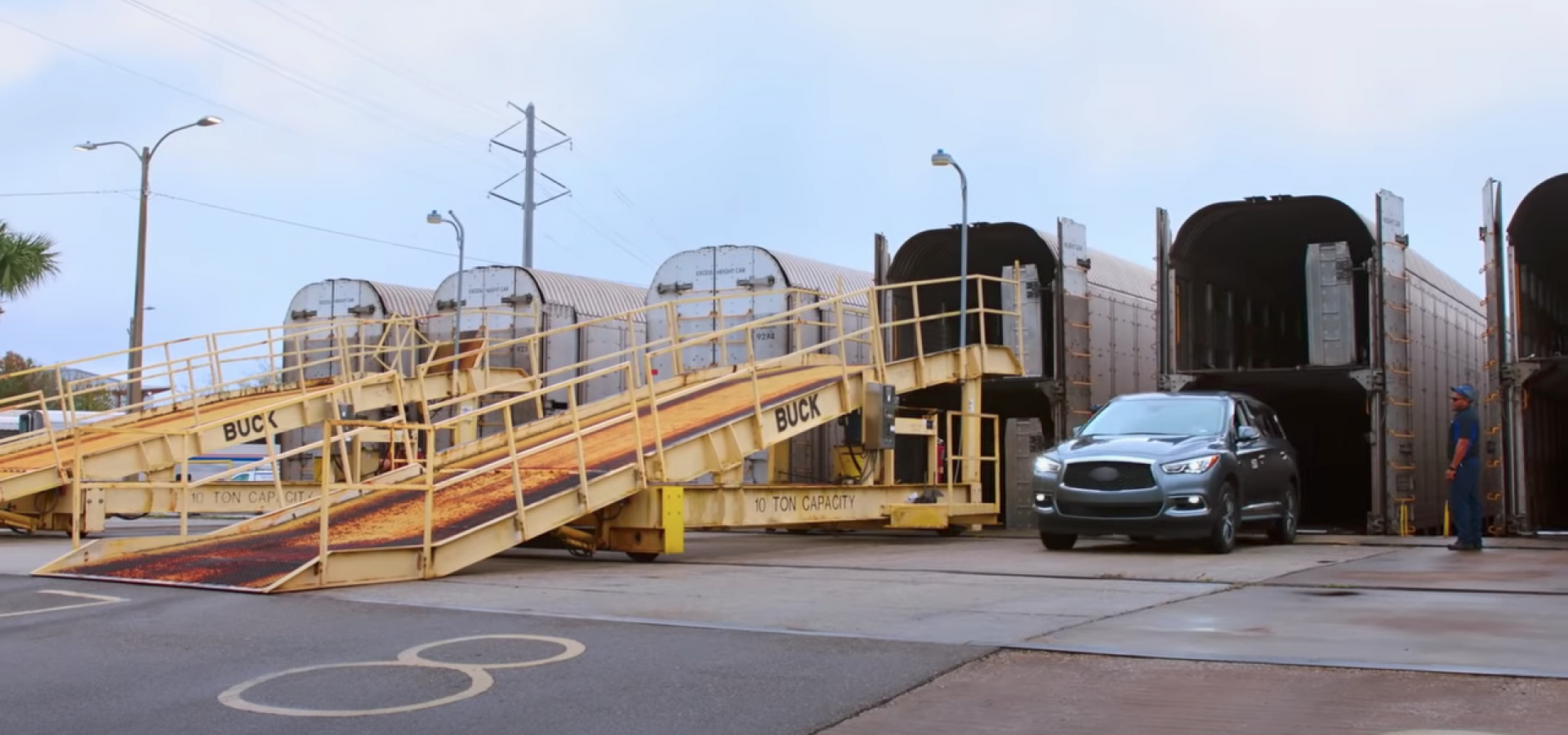 Are Dogs Allowed On The Auto Train To Florida